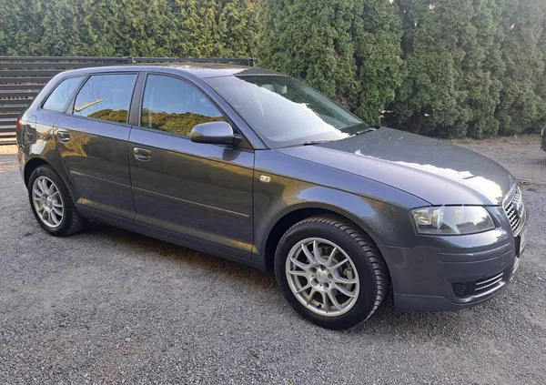 samochody osobowe Audi A3 cena 19900 przebieg: 190000, rok produkcji 2005 z Myszków